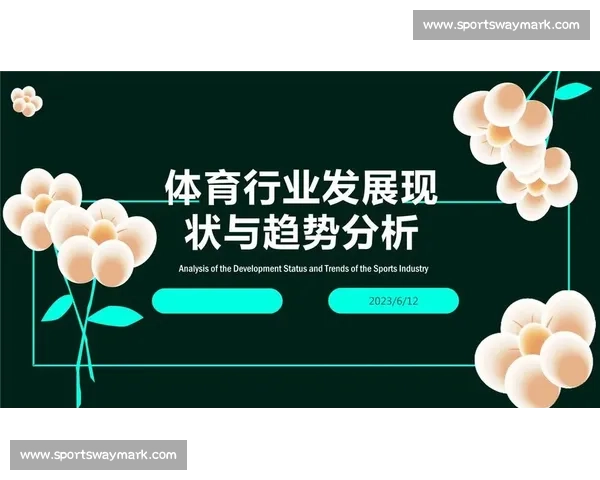 体育行业规范与发展策略探讨及实施路径研究